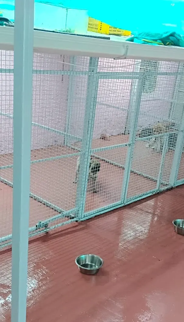 Shree Kennel in Pune