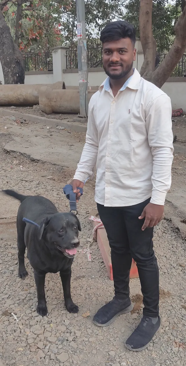 Abhishek Walker Sitter Services in Pune