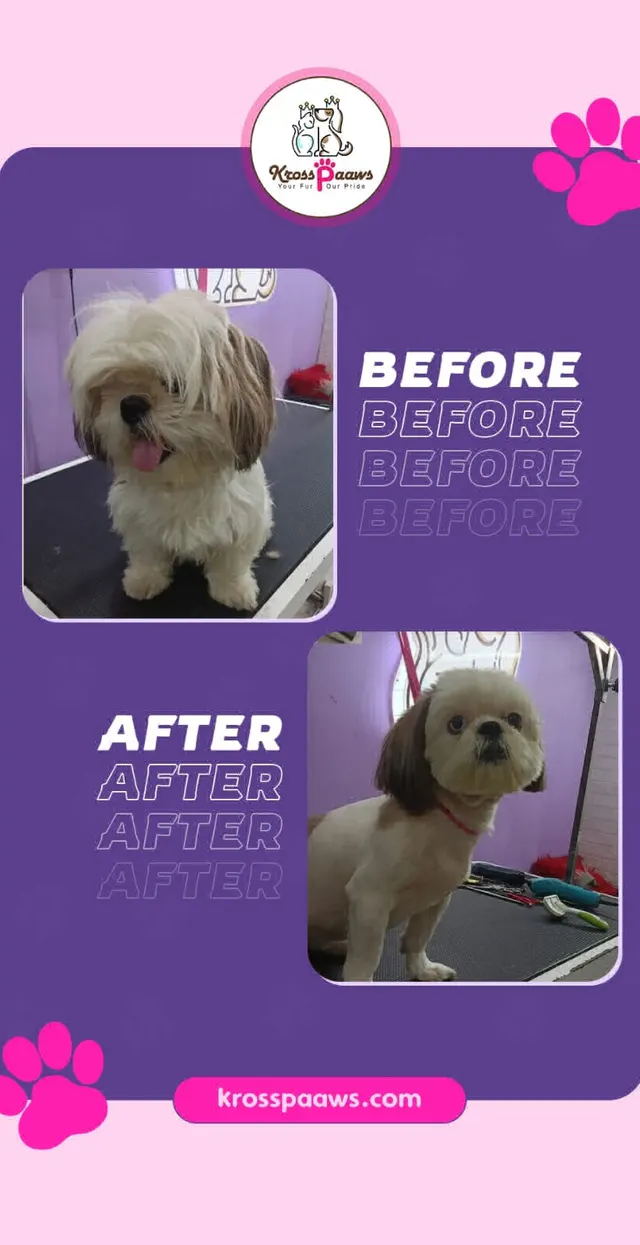 Kross Paaws Pet Grooming salon and pet cared Pet in Thane