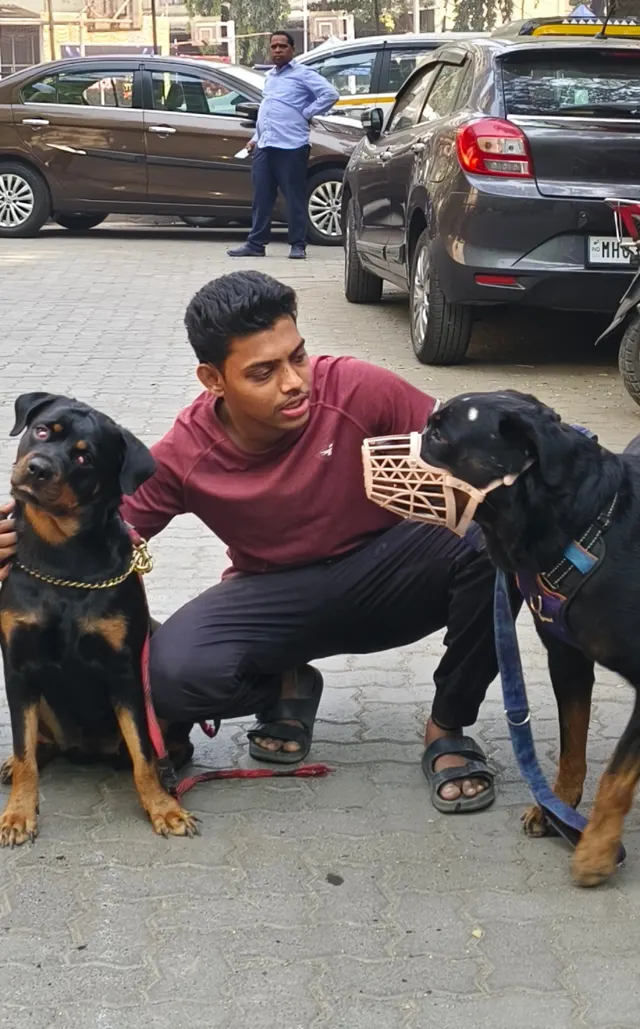 Paw routes in Mumbai