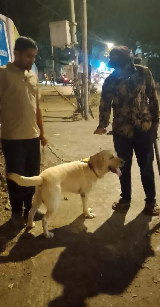 Mastermind Walking Services in Mumbai