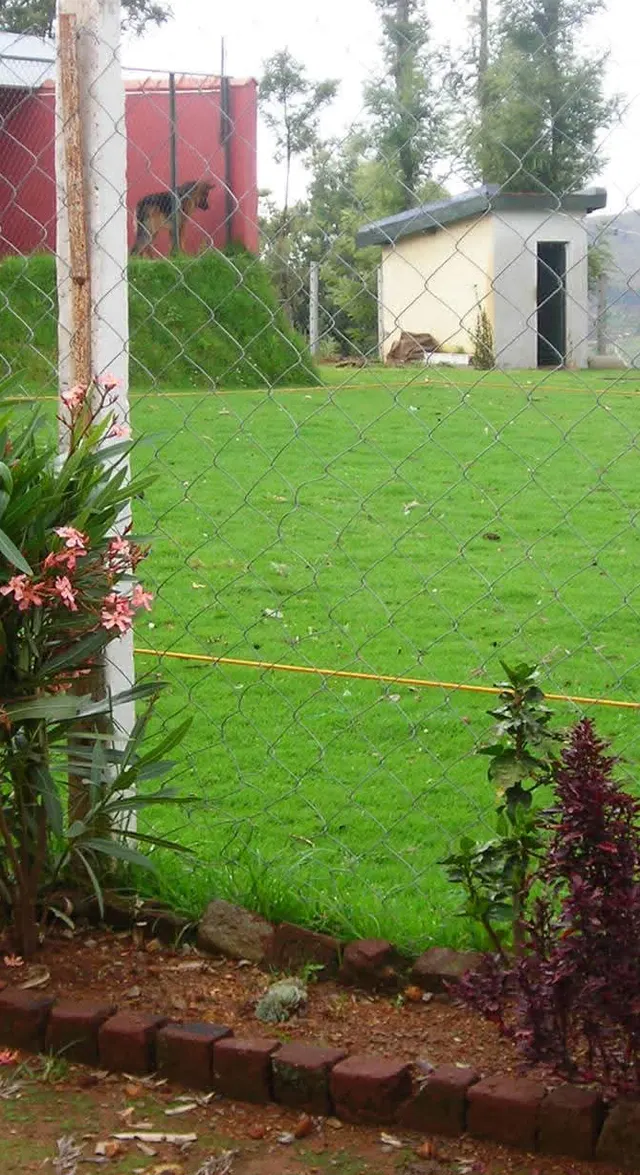 Greenfield and Goldenfarm Kenn in Ooty