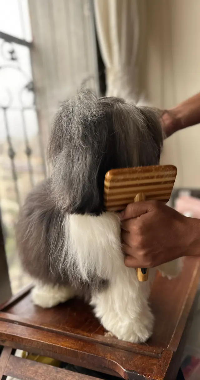 Mastermind Grooming Service in Mumbai
