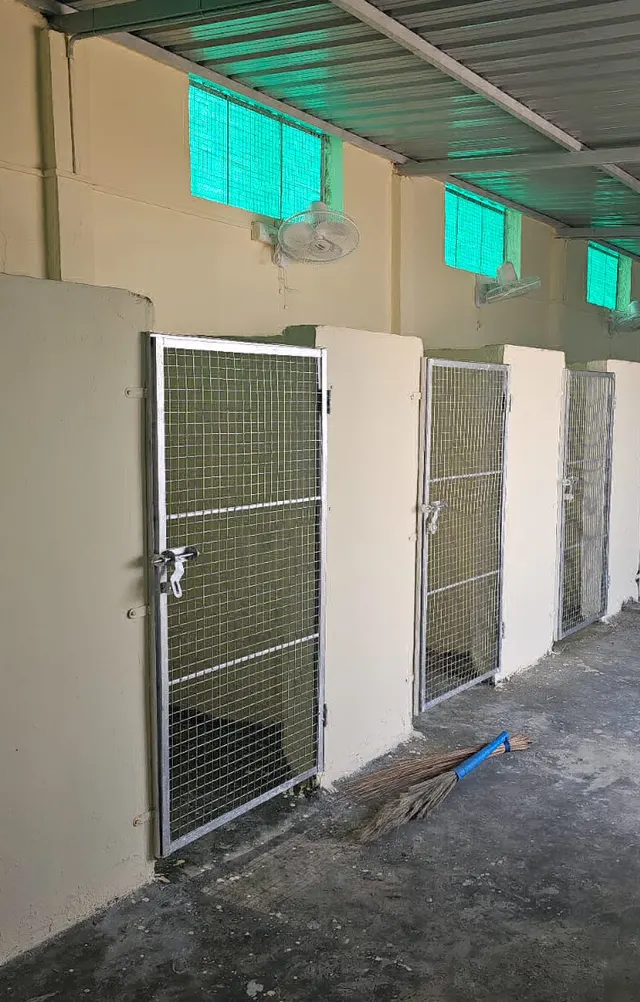 Phoenix K9 Services in Pune