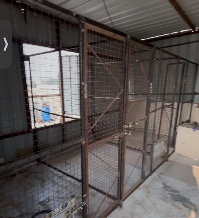 Furaura: Pet Boarding Services in Indore