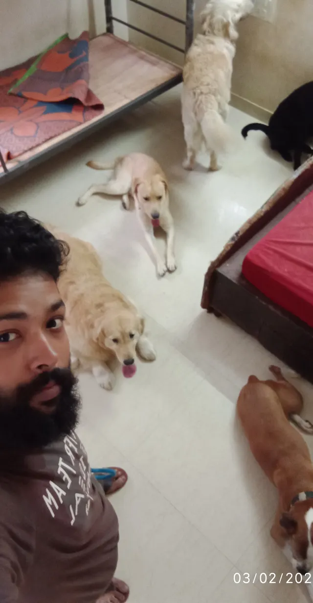 Chakraborty Canine Service in Bhadreswar