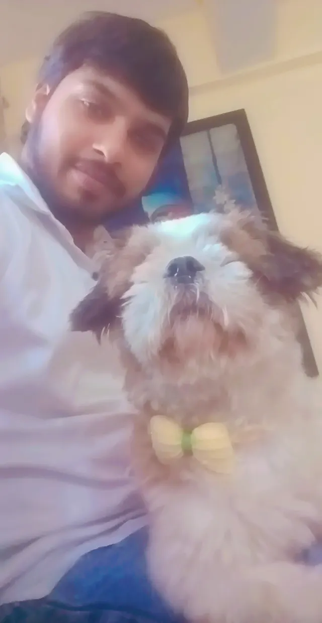 AS Pets Service in Gurgaon