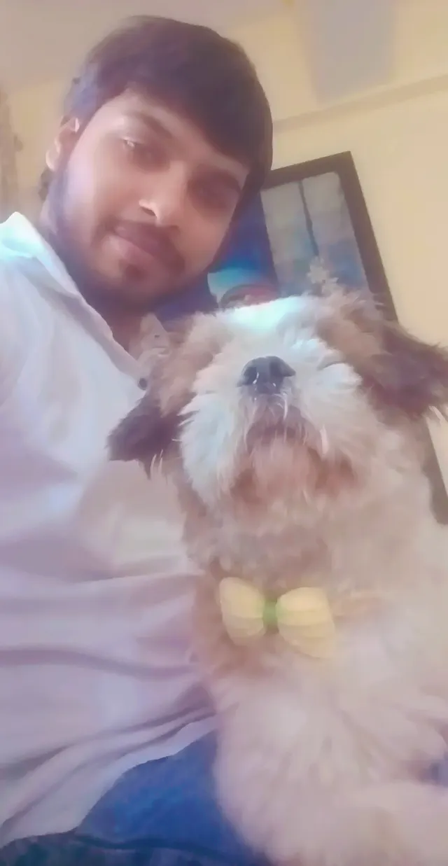 AS Pets Service in Gurgaon
