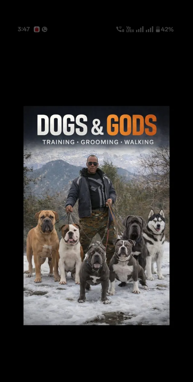 DOGS & GODS 🐶 Walking Services in Delhi