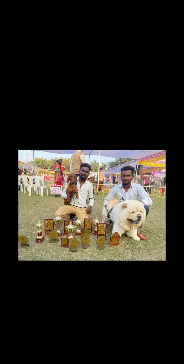 SK Dog Training in Ahmedabad