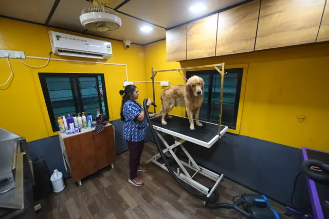 Tails of the City - Grooming in Pune