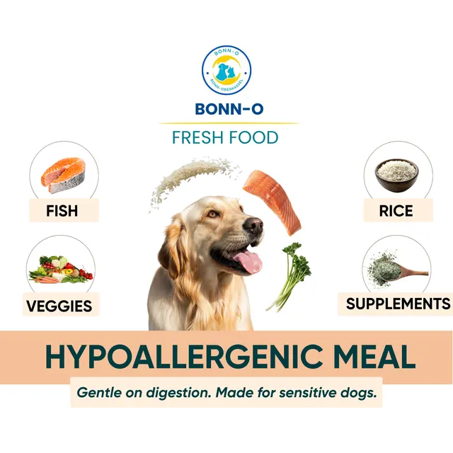 BONN-O Fresh Food – Hypoallergenic Fish Meal, photo 2 of 3