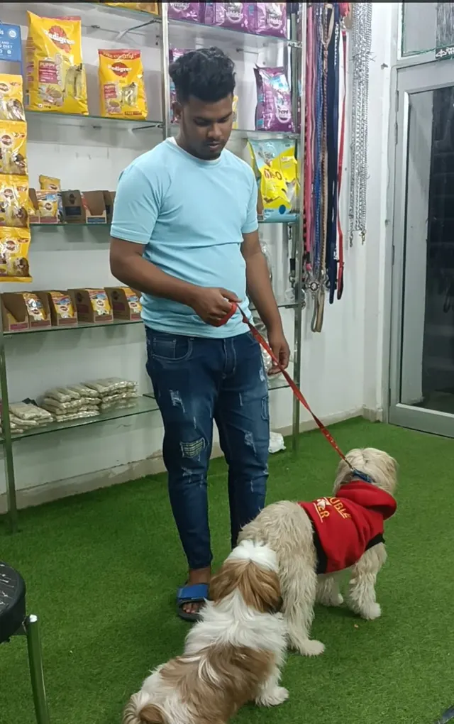 RVP Walking services in Sanganer