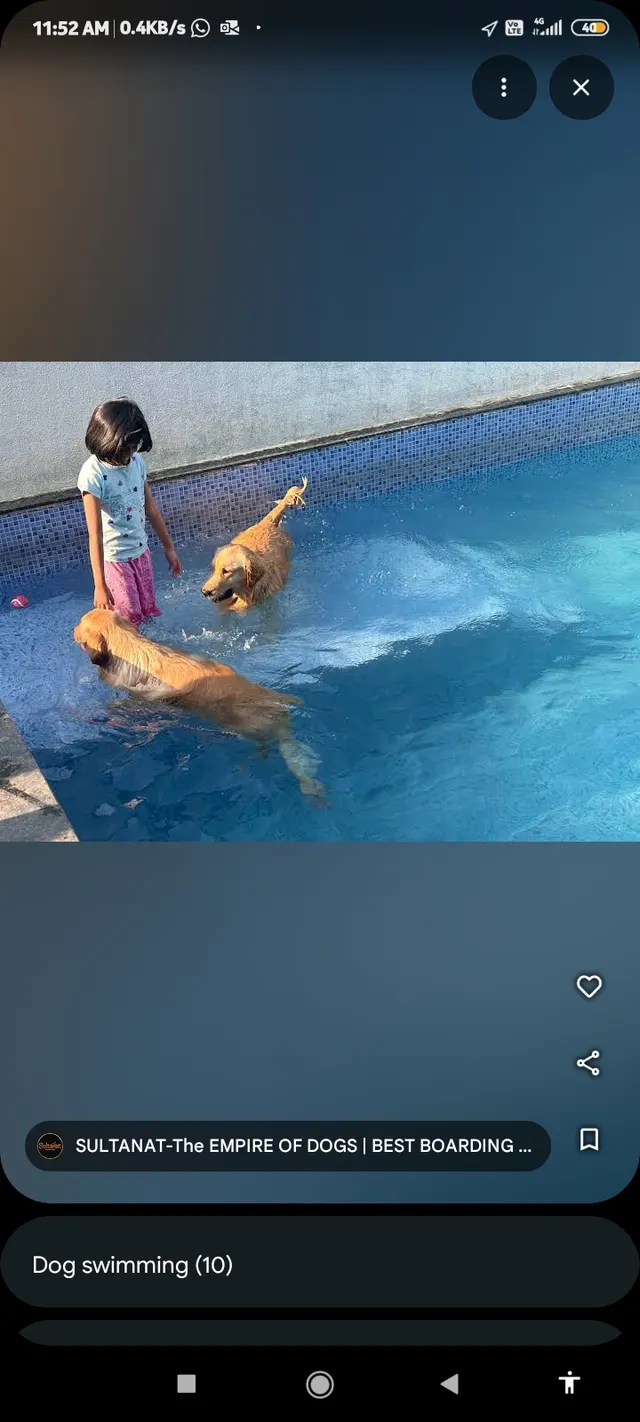 Sultanat Petboarding services in Pune