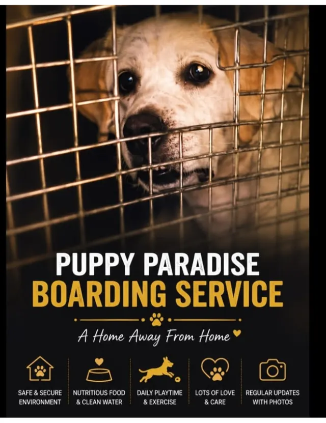 Puppy Paradise Walking Service in Chinsurah