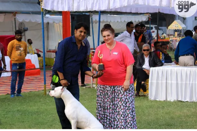 Puppy Palace Sitting Services  in Delhi