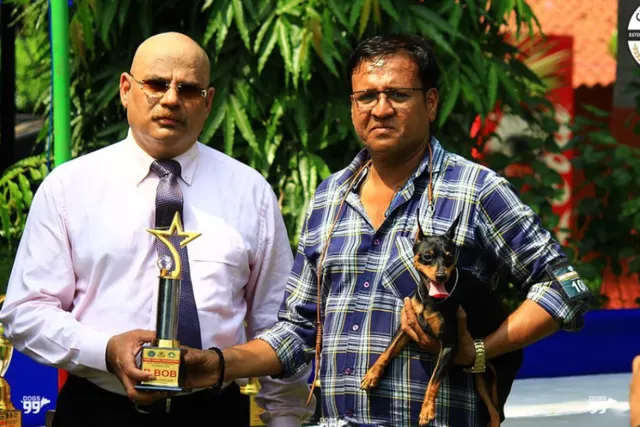 Puppy Palace Boarding Centre  in New Delhi