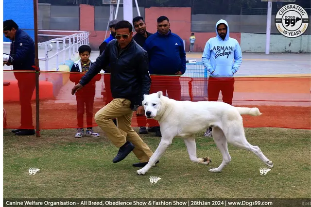Puppy Palace Walking services  in New Delhi