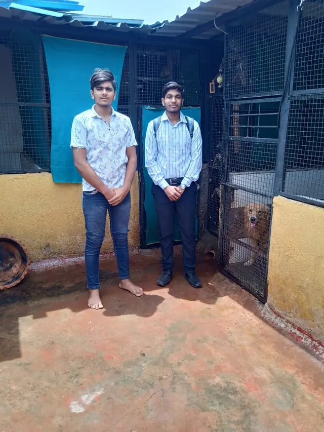 Roshan Petboarding in Pune