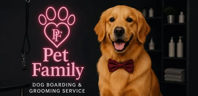 Pet Family Boarding Services in Noida