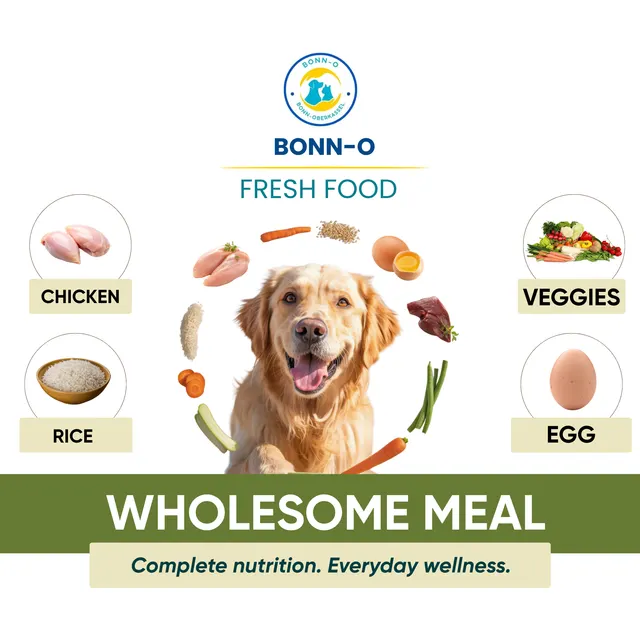 BONN-O Fresh Food – wholesome chicken meal for dog, photo 2 of 3